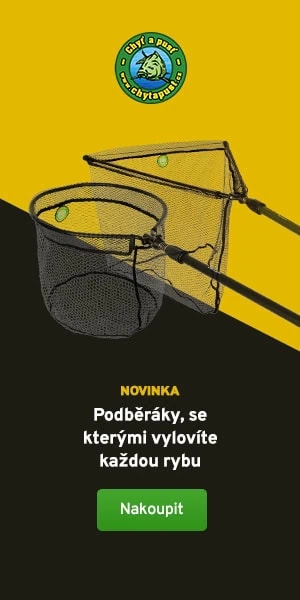 Chyť a pusť
