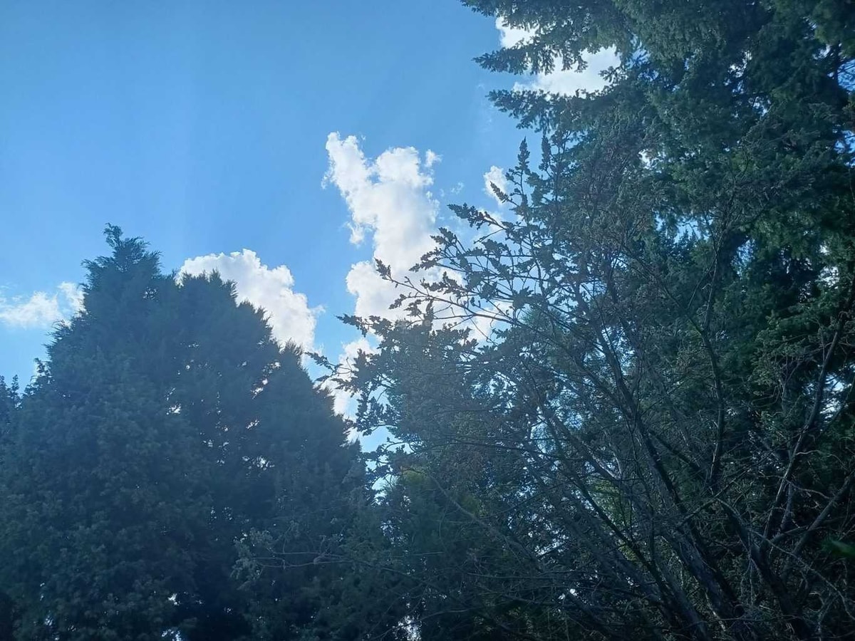 Realme Narzo 30 5G jak fotí?