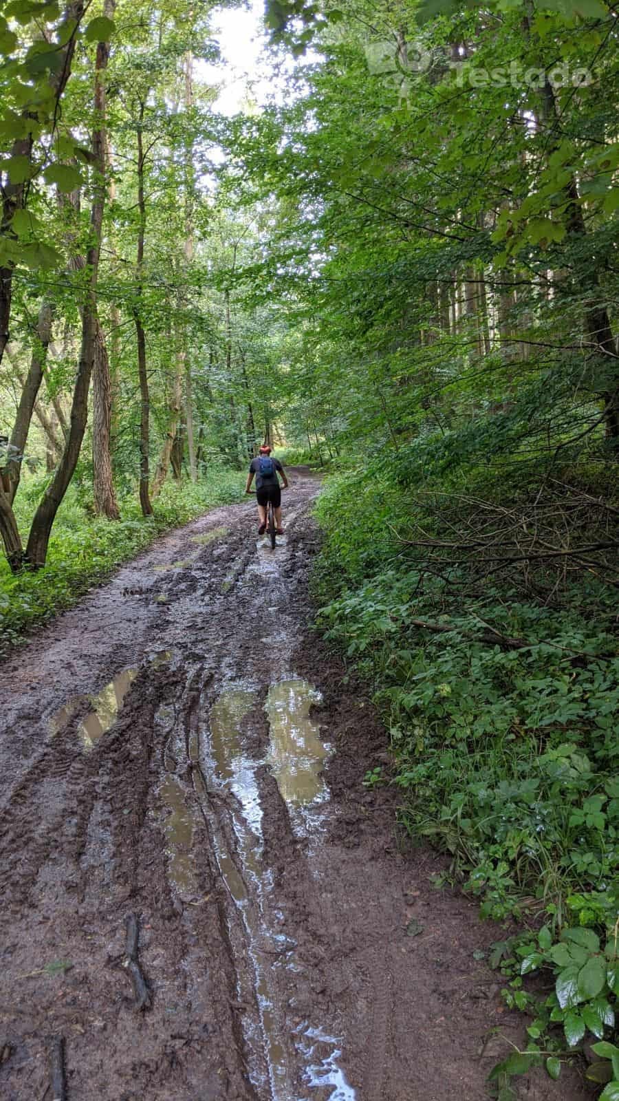 Recenze helmy na kolo Safe-Tec TYR 3