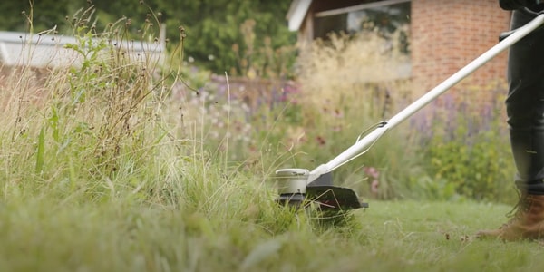 Bosch AdvancedGrassCut 36