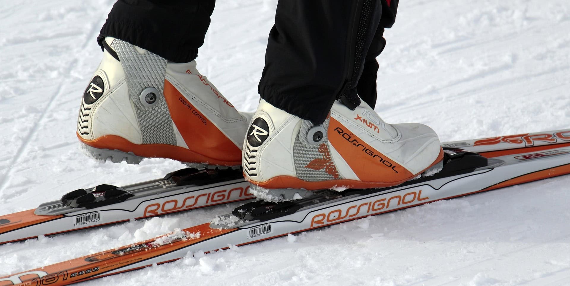 Nejlepší běžky na klasiku a skate
