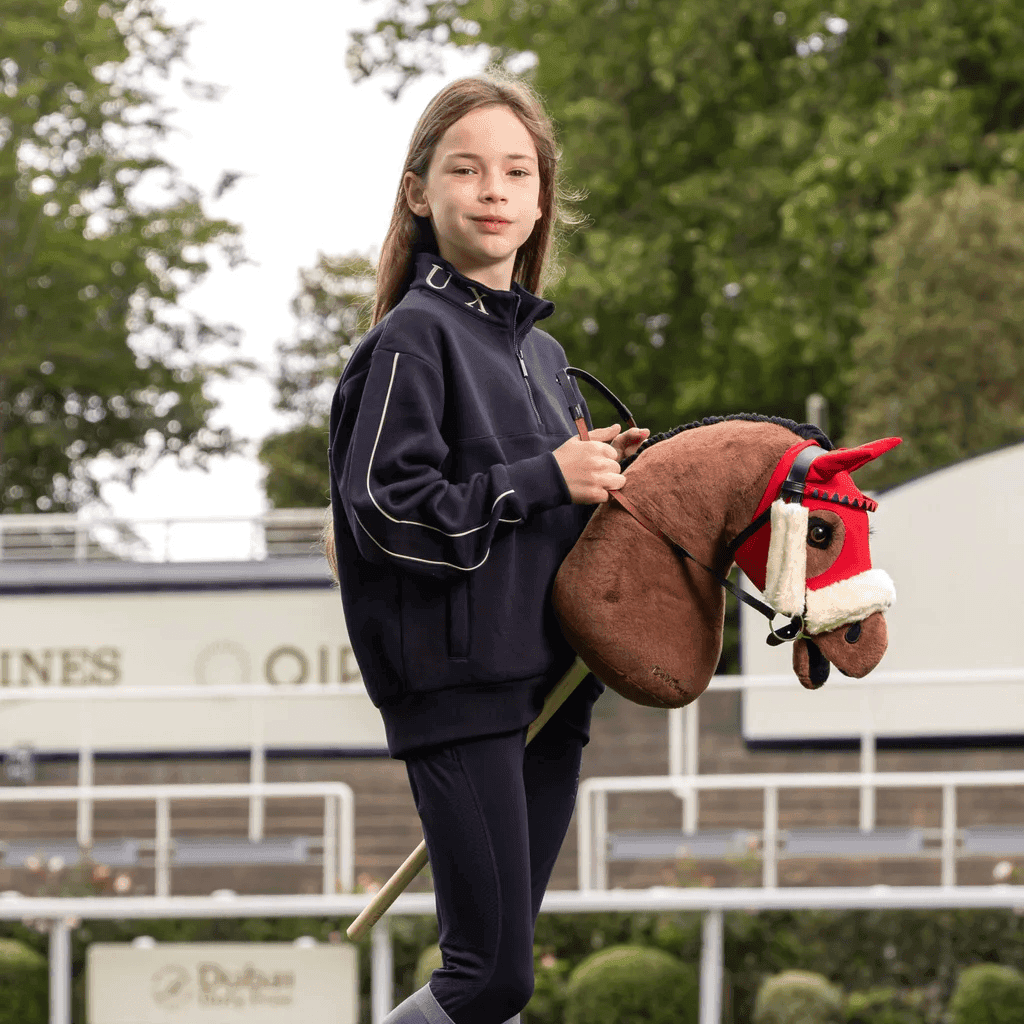hobby horse