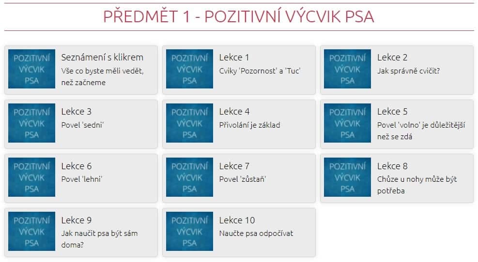 psí on line trénink lekce