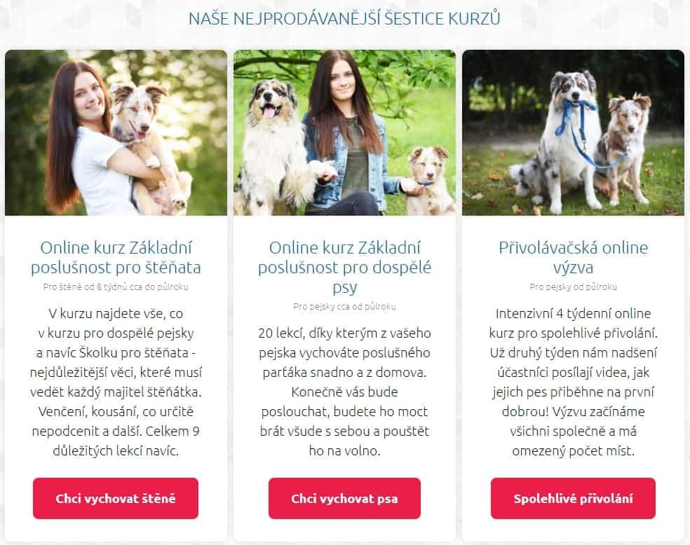 online programy výcviku psů