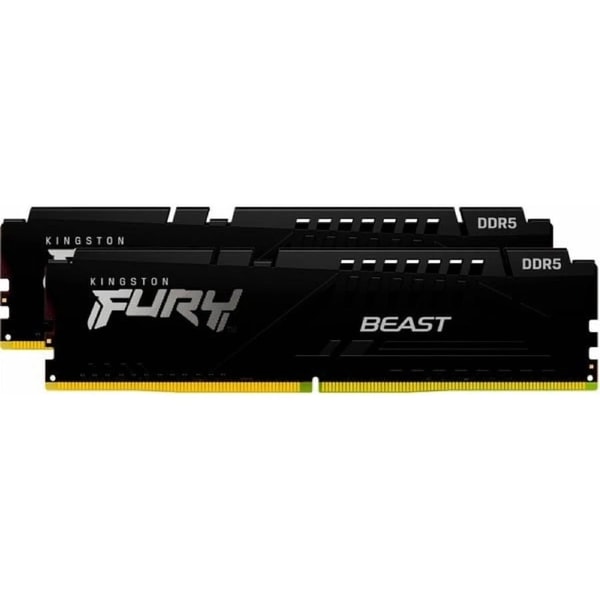 Kingston Fury Beast CL30: Product review